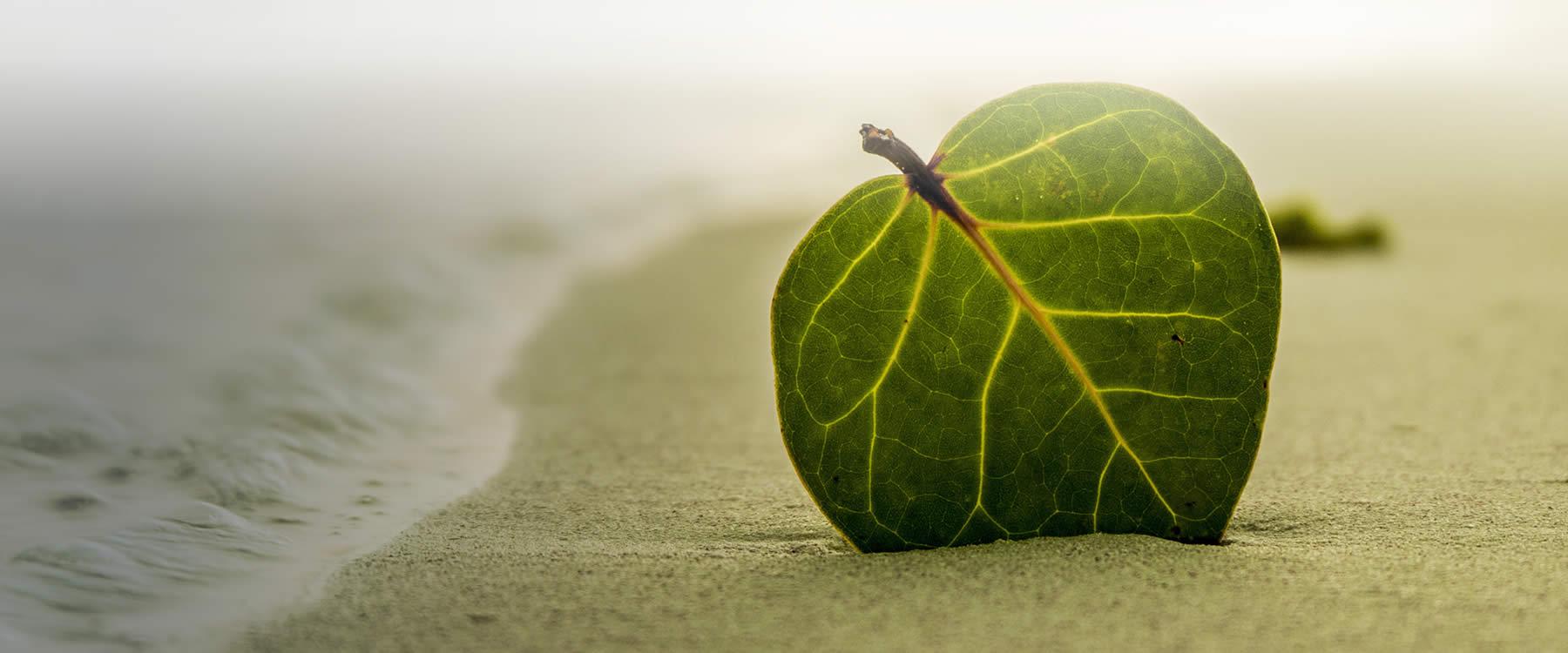 headerfoto01