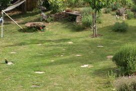 medizinrad_im_garten